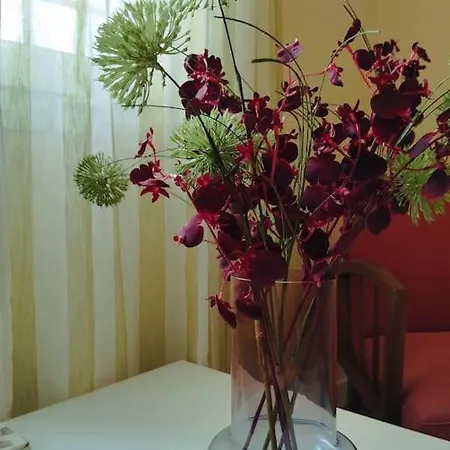 Appartement Vicky's Corinthe